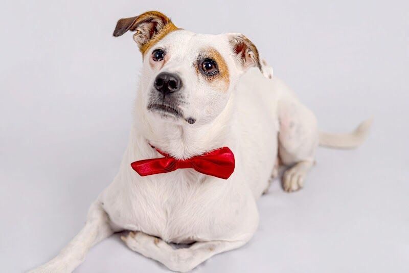 Imagen de Chispitas Fotógrafos