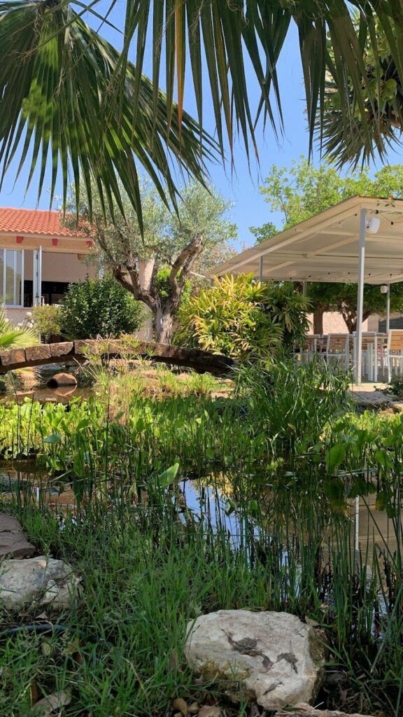 Imagen de El Laguito