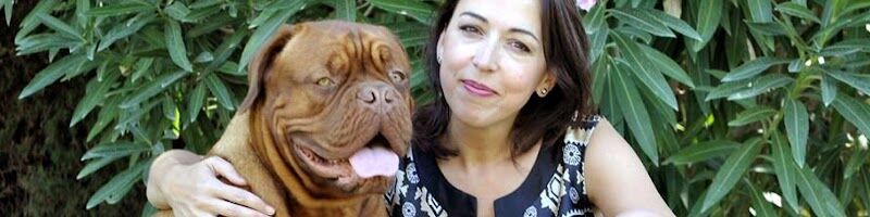 Imagen de Adiestramiento Canino Bec