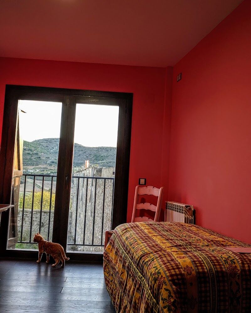 Imagen de negocio en Alojamiento pet-friendly en Provincia de Zaragoza