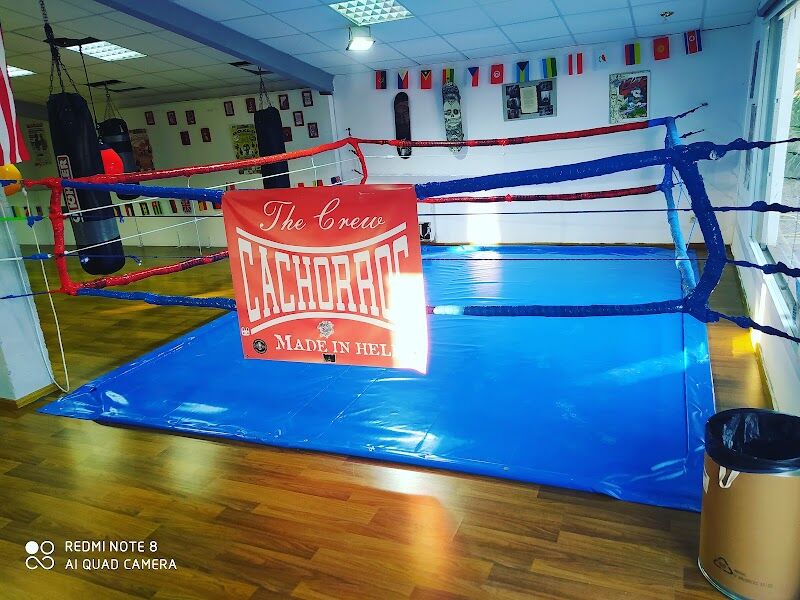 Imagen de Cachorros Boxing Club