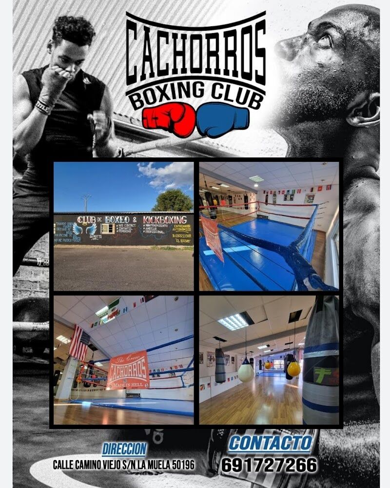 Imagen de Cachorros Boxing Club