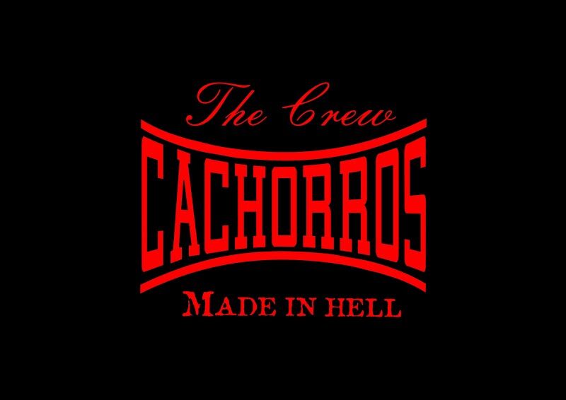 Imagen de Cachorros Boxing Club