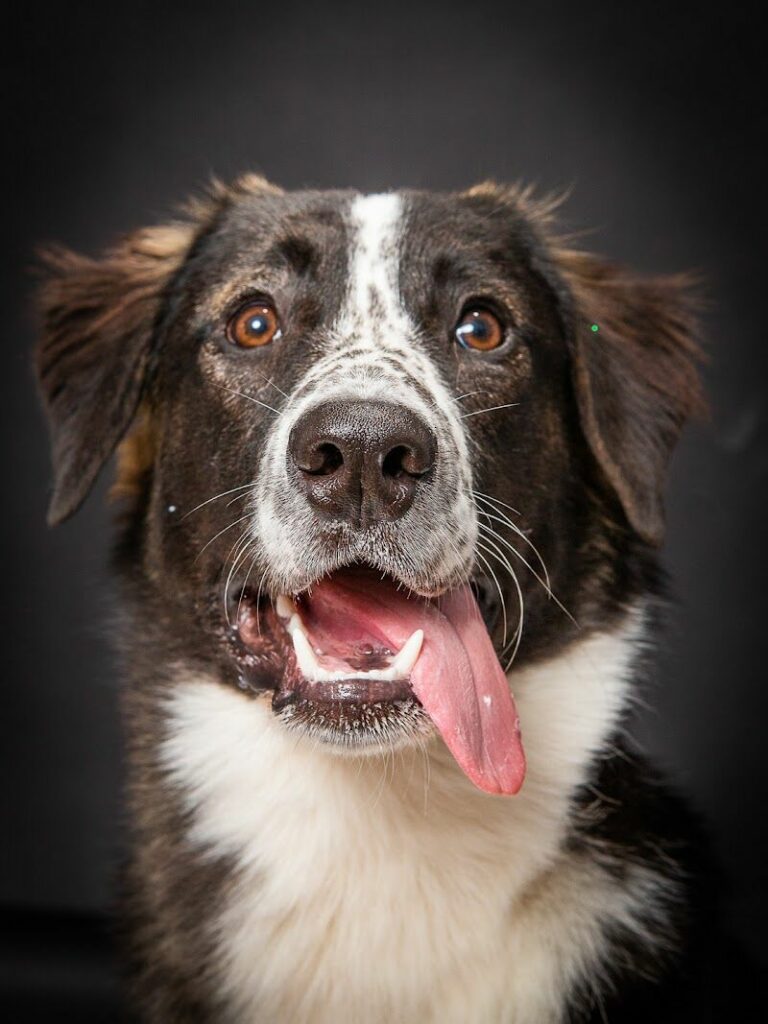 Imagen de Orduna Fotografía – Fotógrafo en Zaragoza
