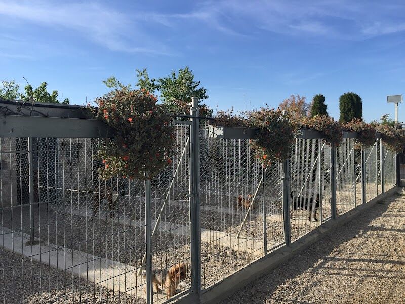 Imagen de Residencia Canina Happy Dogs