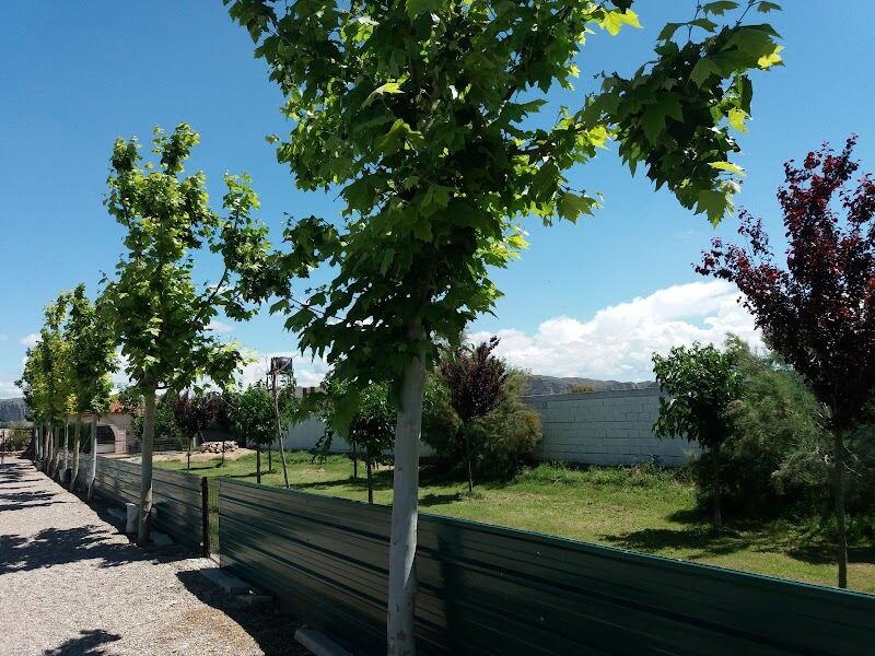 Imagen de Residencia Canina Happy Dogs