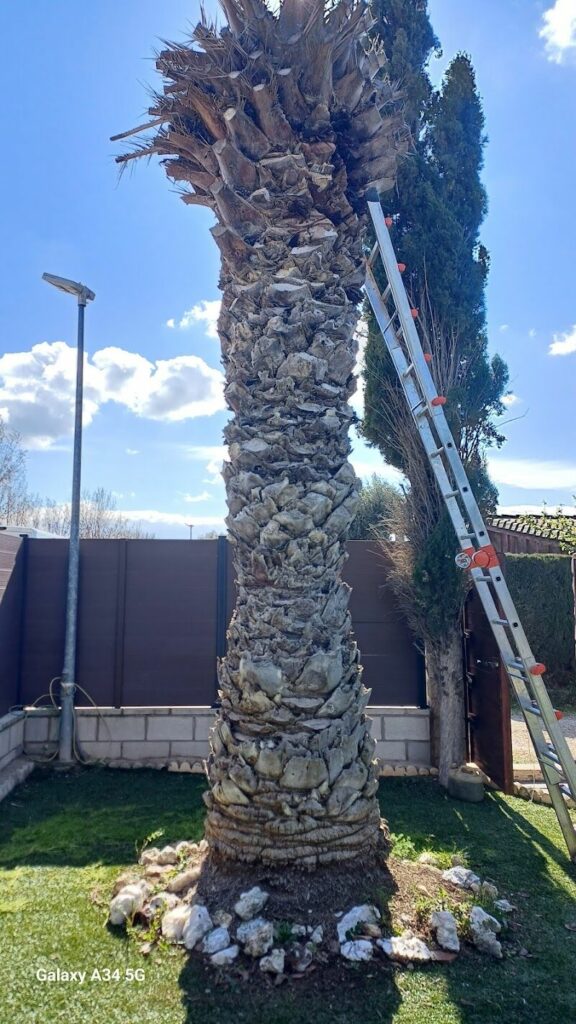 Imagen de Jardinería Poda y Tala Noel Campaña Contra Incendios