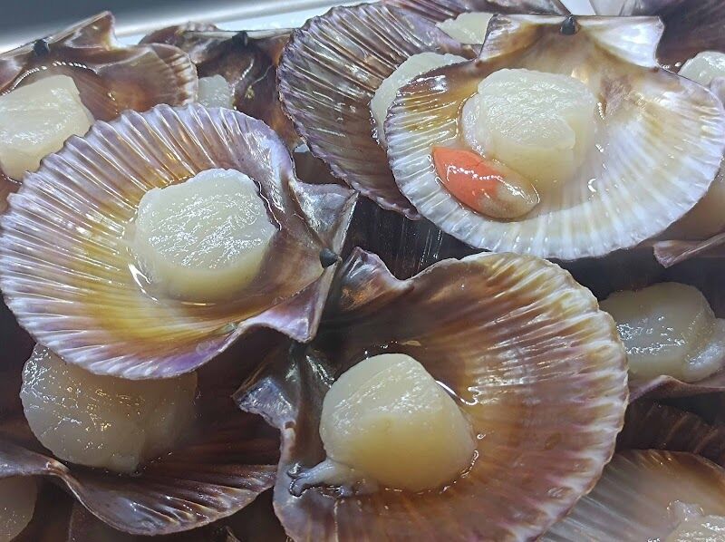 Imagen de Antiguo Scualo Zaragoza