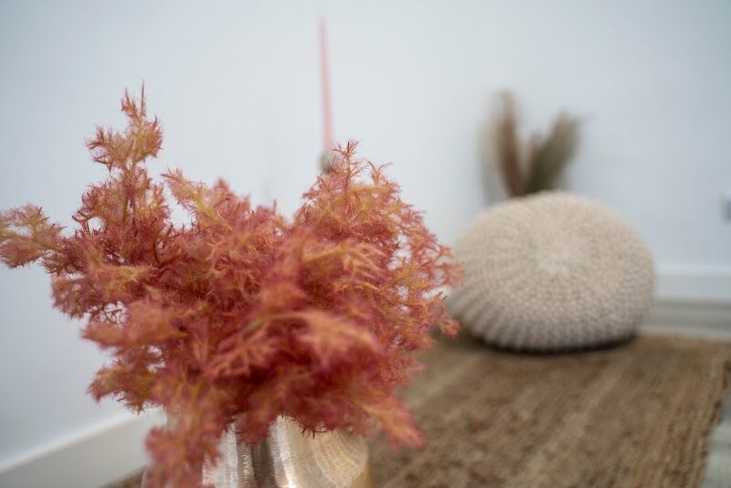 Imagen de Sonia Hernández