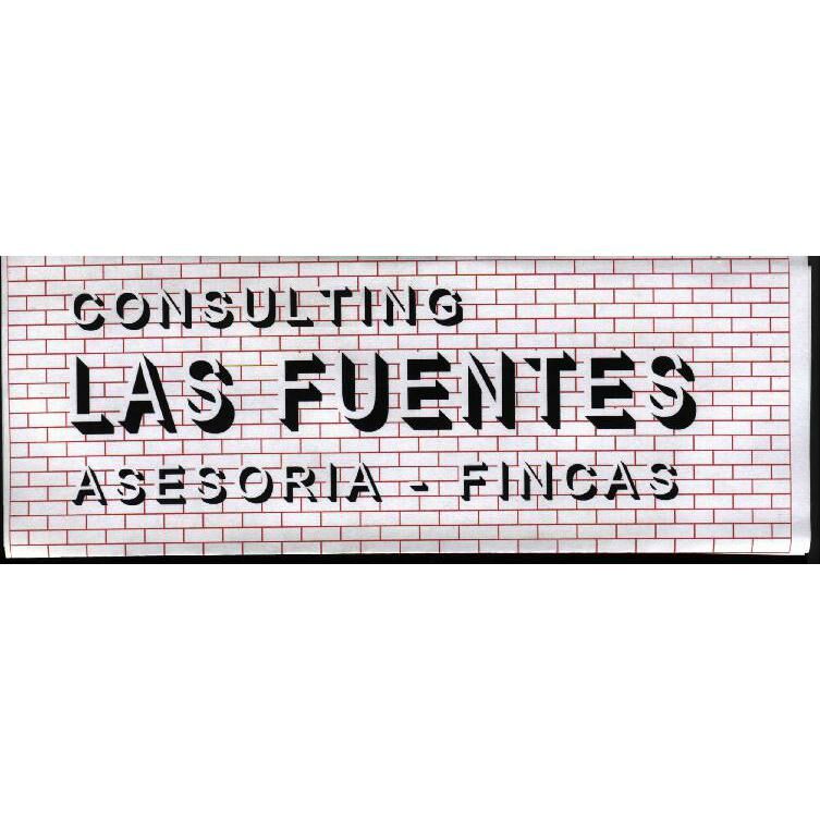 Imagen de Consulting las Fuentes