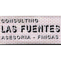 Imagen de Consulting las Fuentes