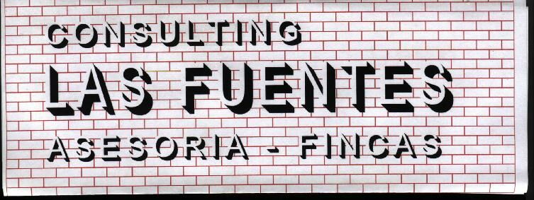Imagen de Consulting las Fuentes
