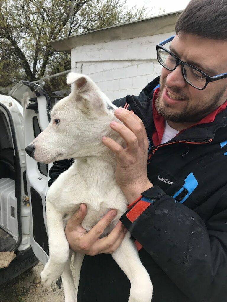 Imagen de Albergue Sanitario de Animales (provincial)