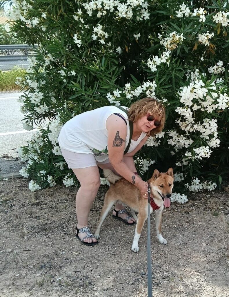 Imagen de Albergue Sanitario de Animales (provincial)