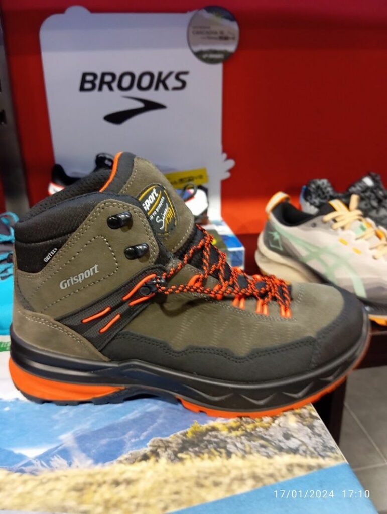 Imagen de Deportes Zenit