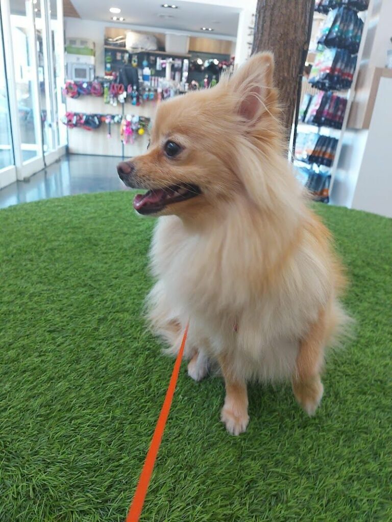 Imagen de Hospital Aralar Veterinarios