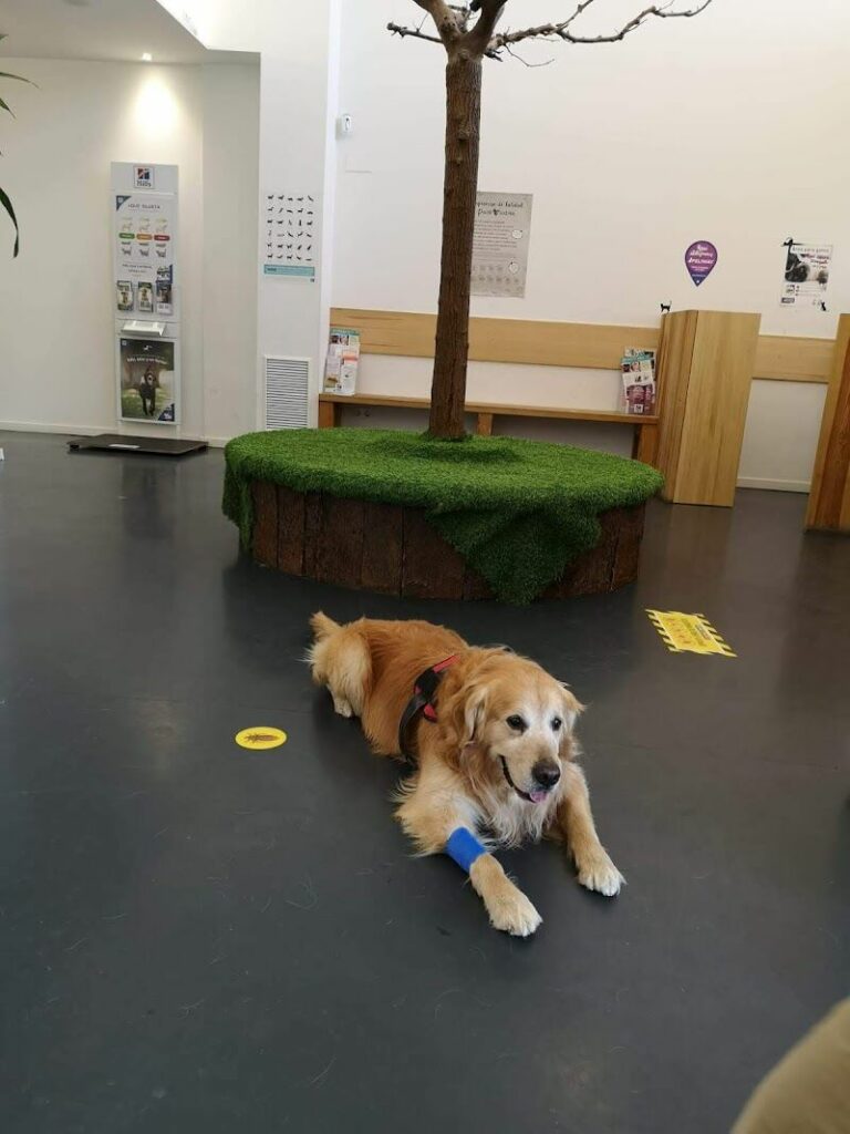 Imagen de Hospital Aralar Veterinarios