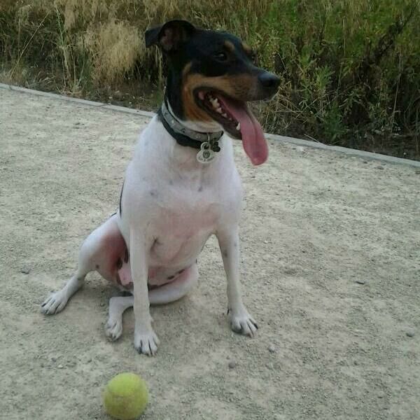 Imagen de Hospital Aralar Veterinarios