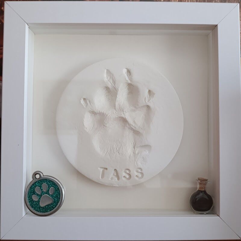 Imagen de Cremaguada Crematorio de Mascotas