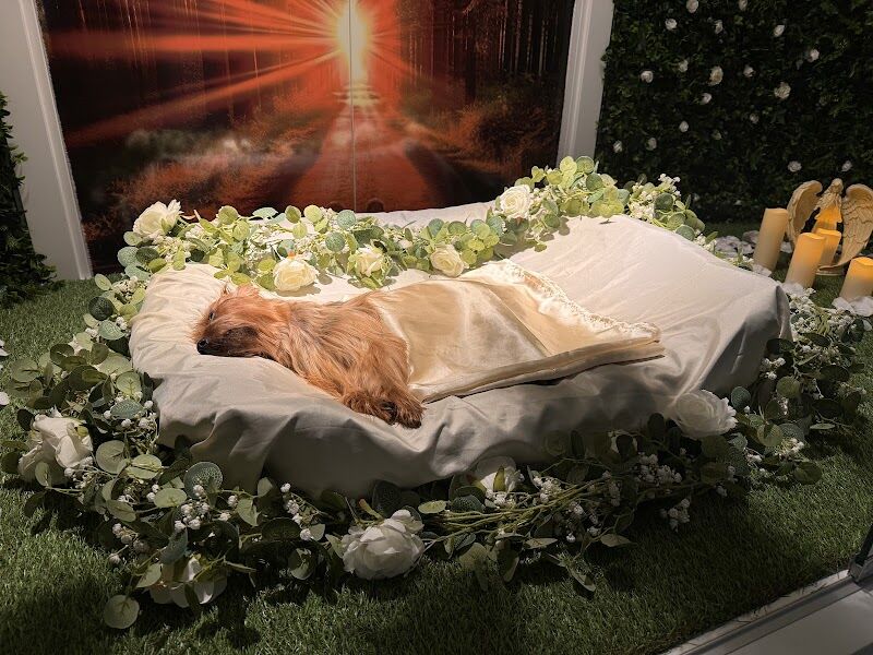 Imagen de Cremaguada Crematorio de Mascotas