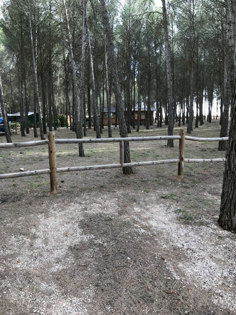 Imagen de Asociacion Camping, la Isla