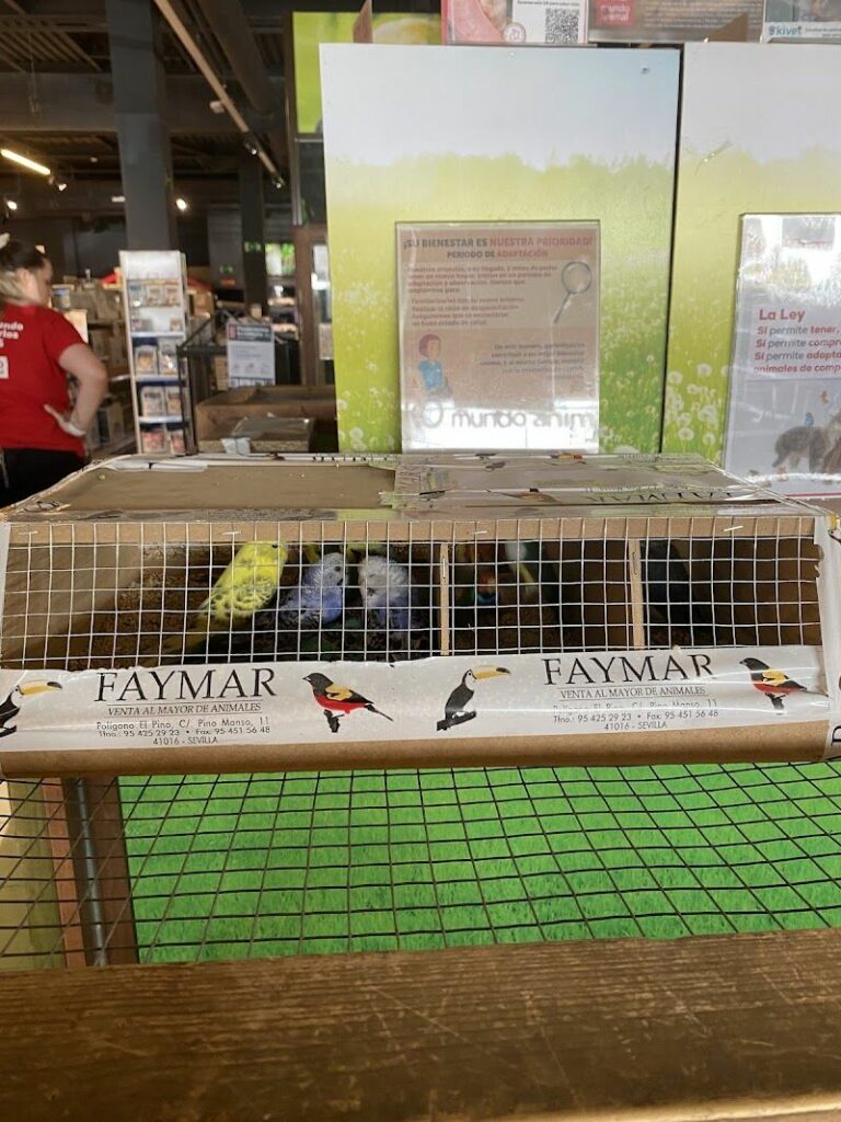 Imagen de Kiwoko. Mundo Animal