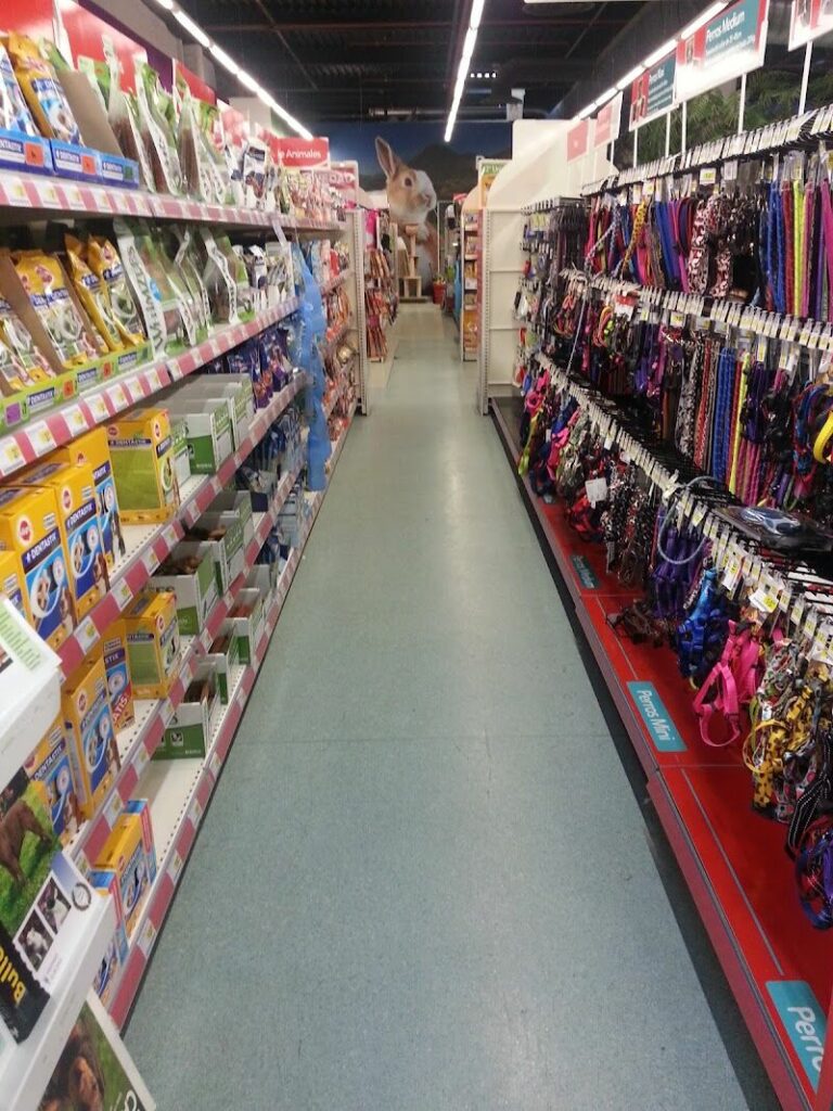 Imagen de Kiwoko. Mundo Animal