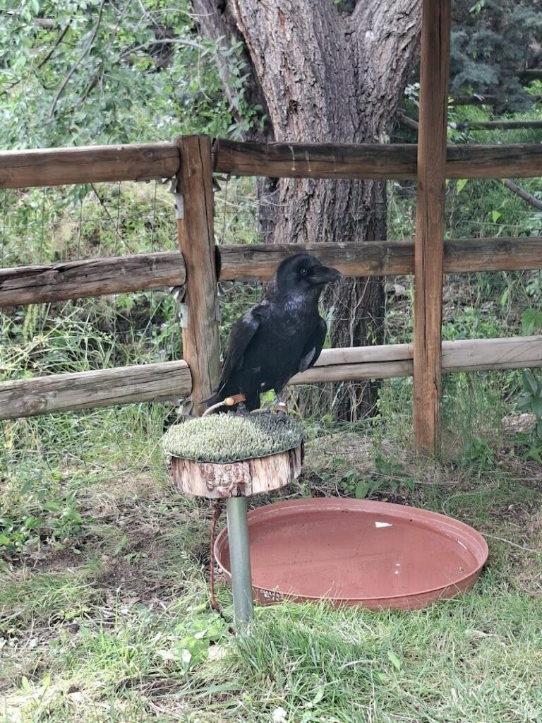 Imagen de Fauna Aventura