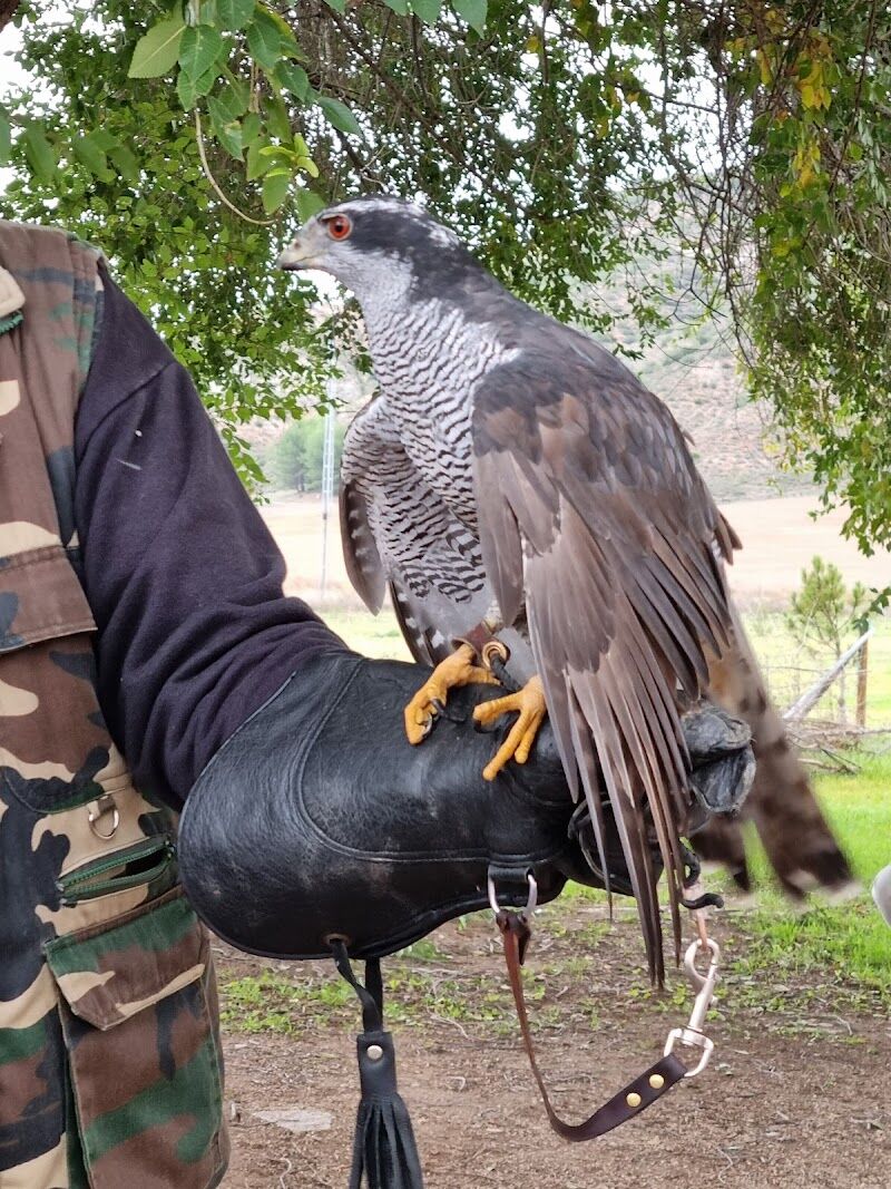 Imagen representativa de la localización