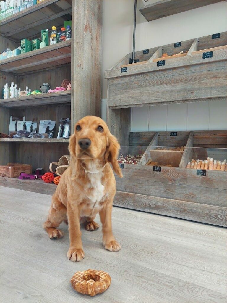 Imagen de Peludos Coquetos