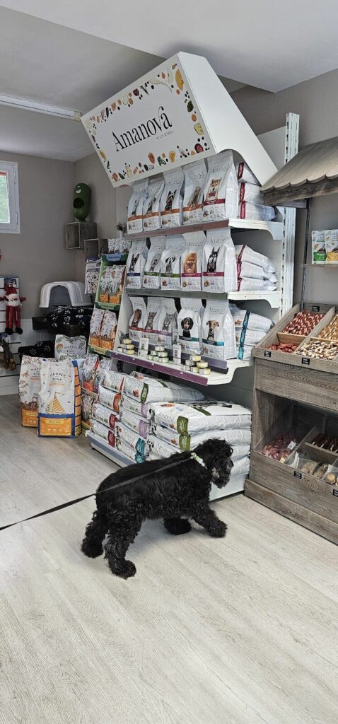 Imagen de Peludos Coquetos