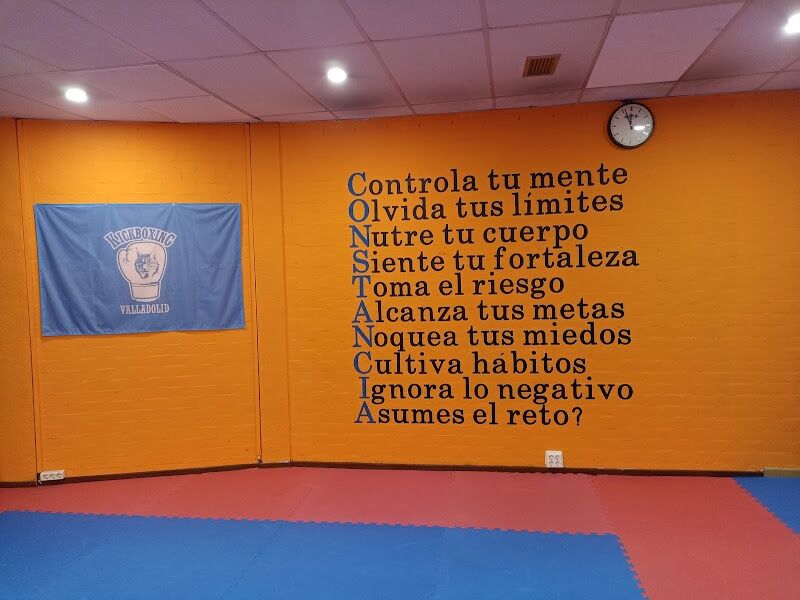 Imagen de Escuela New Fight