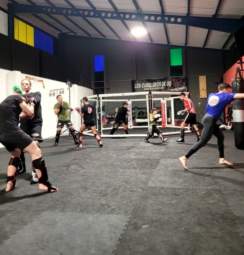 Imagen de Caballeros de Oc