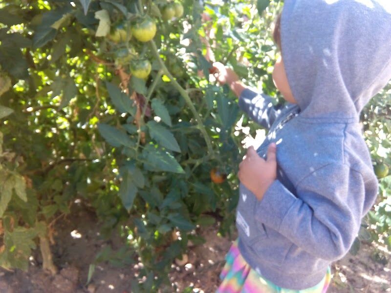 Imagen de Espacio la Tribu