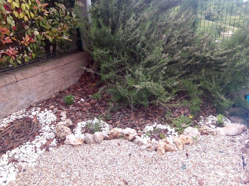 Imagen de Espacio la Tribu