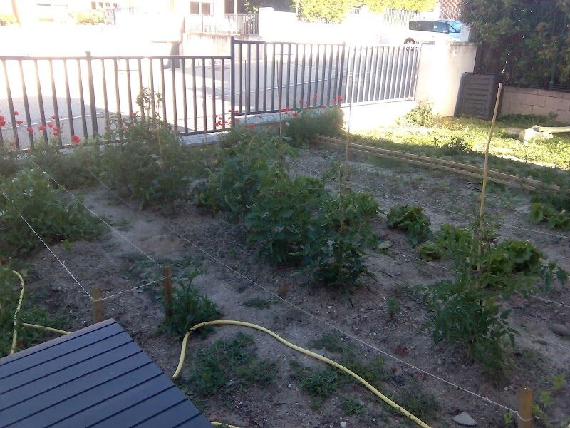 Imagen de Espacio la Tribu