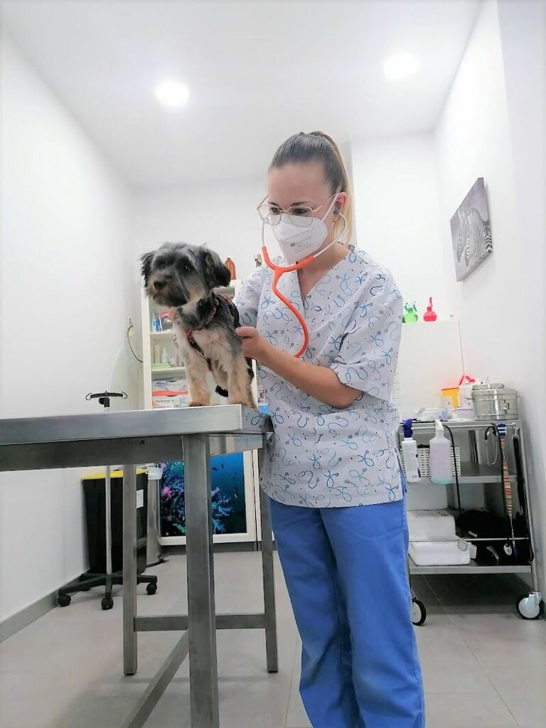 Imagen de Hakuna Matata