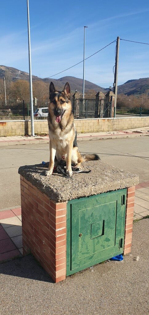 Imagen de Hakuna Matata