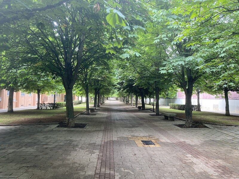 Imagen de Aikido Kodokai Valladolid