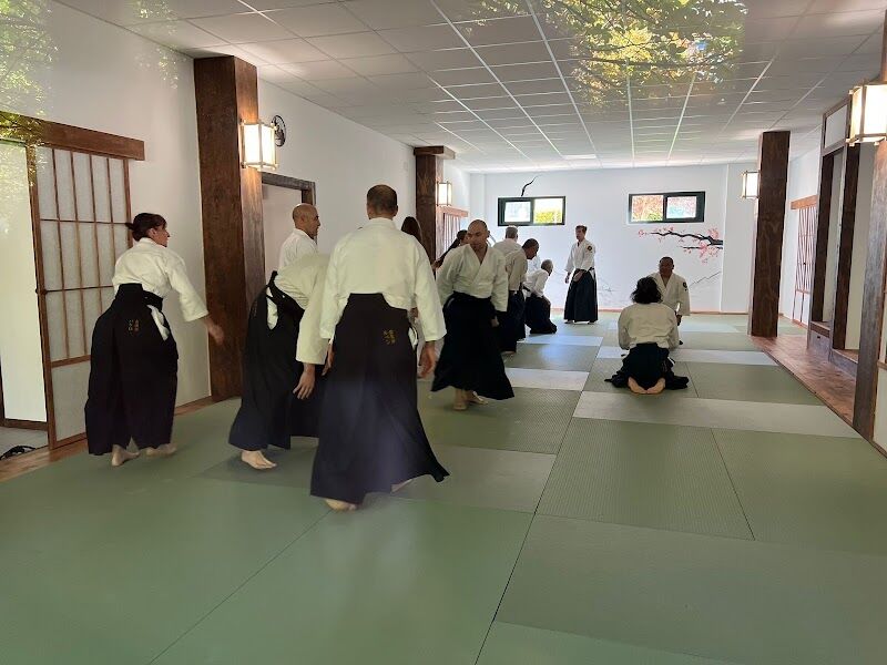 Imagen de Aikido Kodokai Valladolid