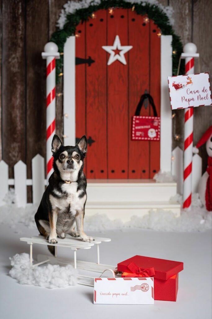 Imagen de Veliastudio Fotografía