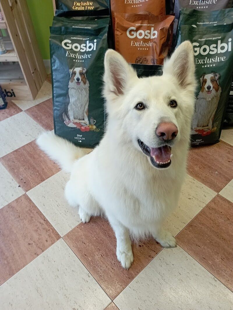 Imagen de negocio en Higiene dental para mascotas en Provincia de Valladolid