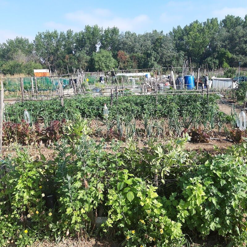 Imagen de Inea (ingeniería Agrícola y Agroambiental) (presencial y Virtual)