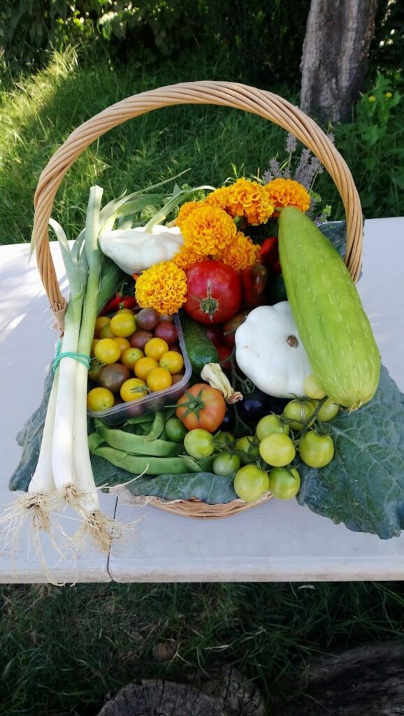 Imagen de Inea (ingeniería Agrícola y Agroambiental) (presencial y Virtual)