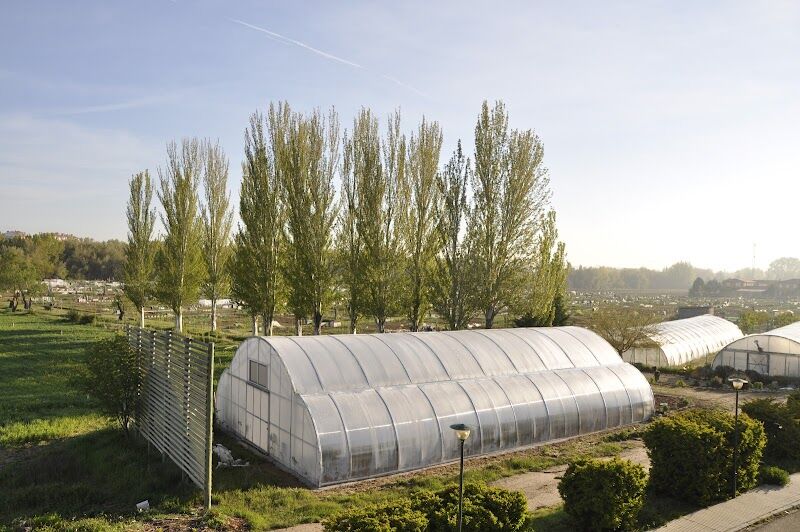 Imagen de Inea (ingeniería Agrícola y Agroambiental) (presencial y Virtual)