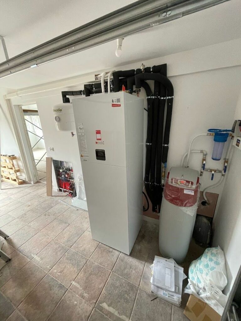 Imagen de Termagenius