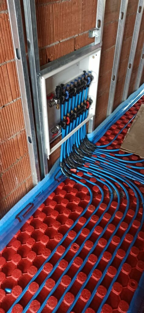 Imagen de Termagenius