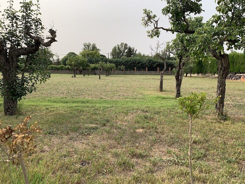 Imagen de negocio en Jardinería y exterior en Simancas