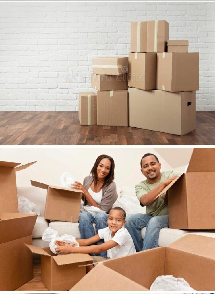 Imagen de Mudanzas Económicas Milio