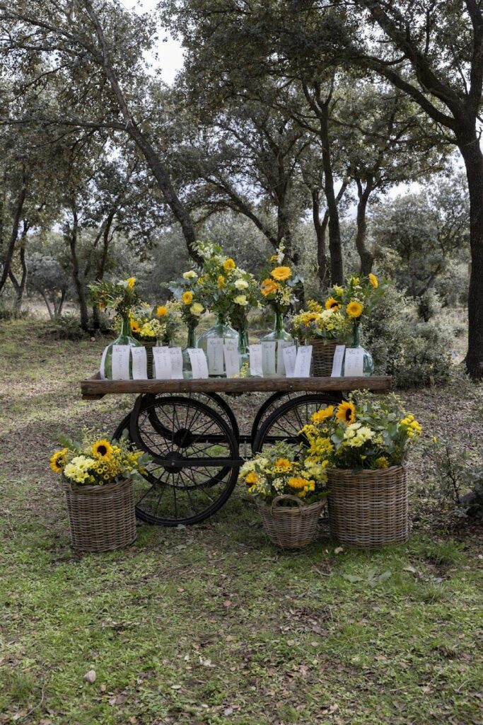 Imagen de Wedding Planner en Valladolid | Viviana Tuesta